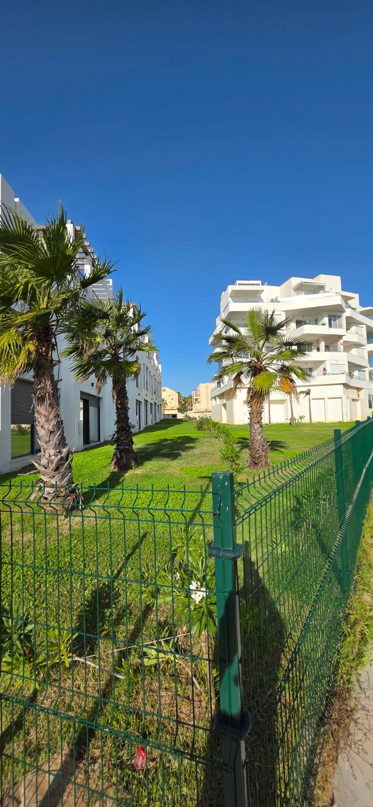 Mediterranean community garden with palm trees and modern architecture in Tarifa